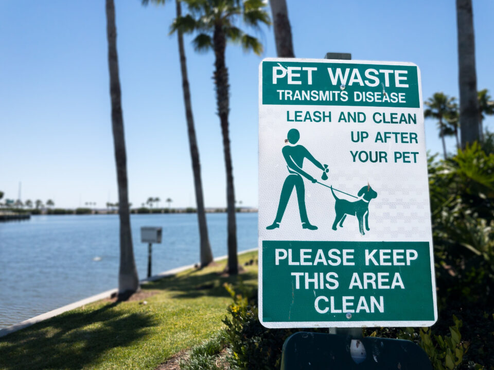 Photo of a sign near water instructing dog owners to clean up their dogs poop